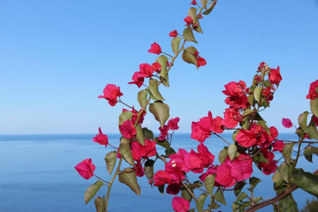 Appartement Apartamento Mar Azul à Calheta  Extérieur photo