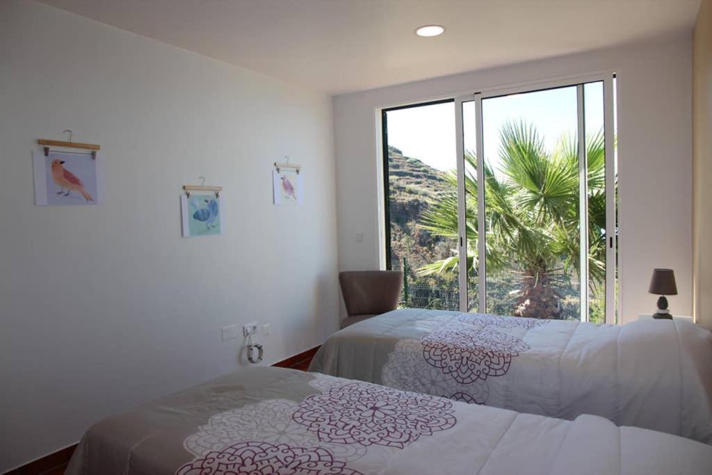 Appartement Apartamento Mar Azul à Calheta  Extérieur photo